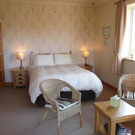 Heulwen Guest House Dolgellau Esterno foto