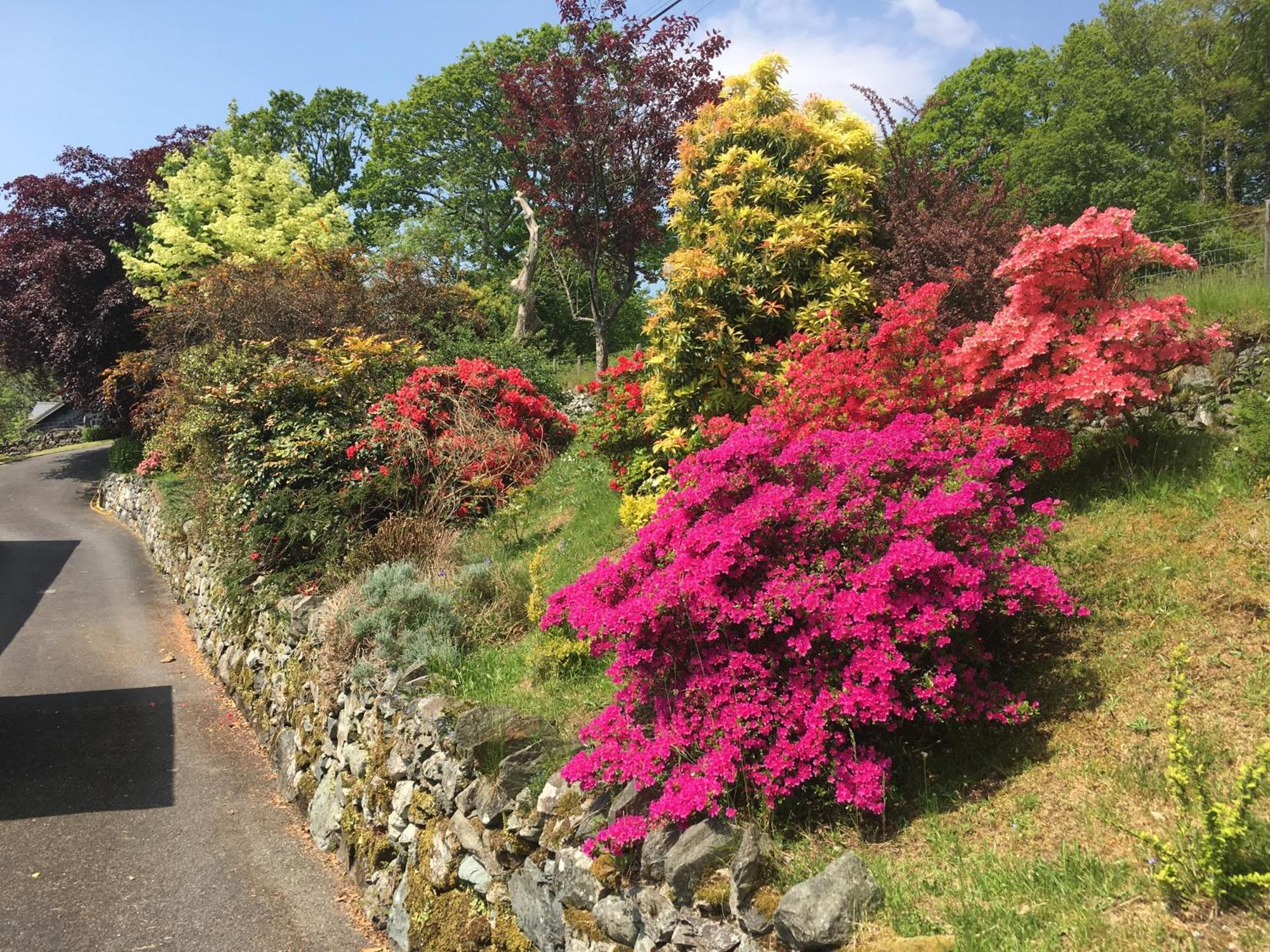 Heulwen Guest House Dolgellau Esterno foto