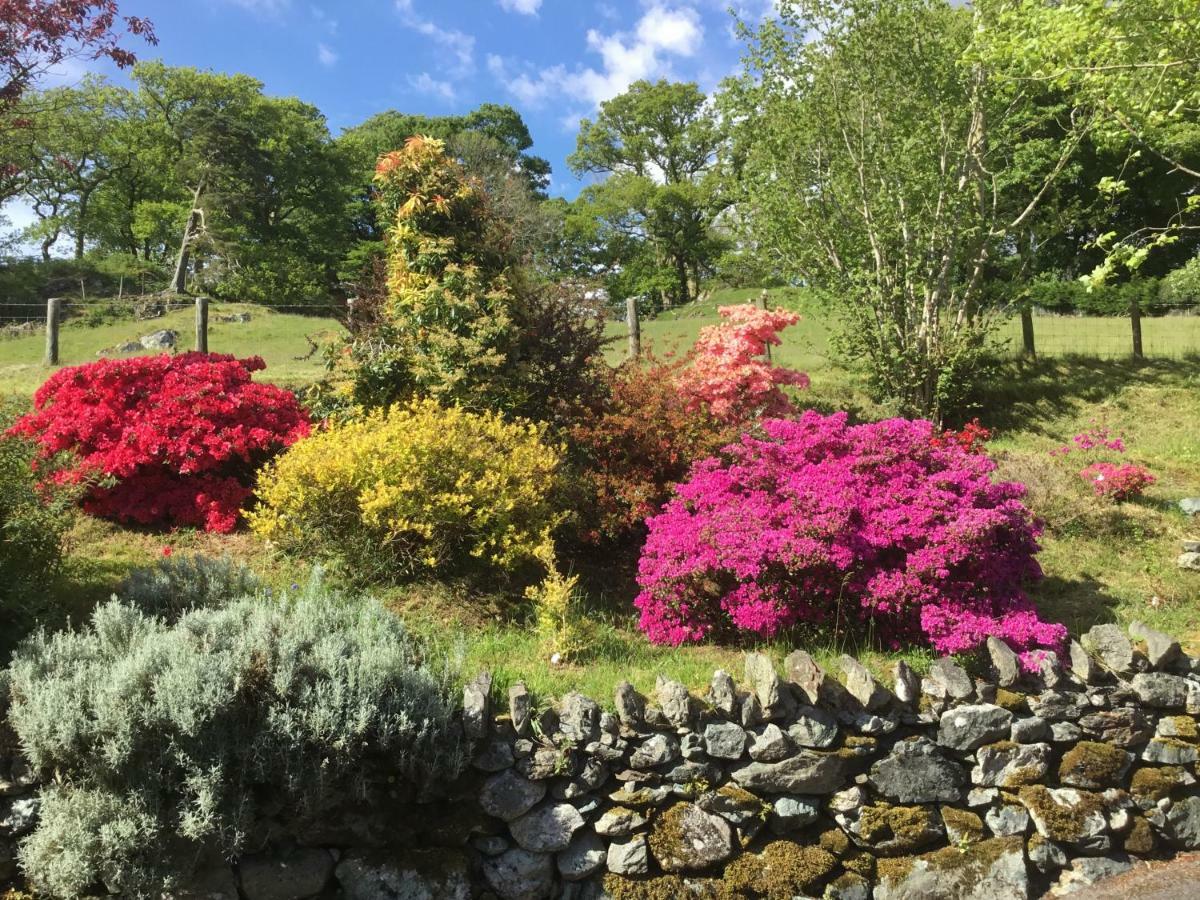 Heulwen Guest House Dolgellau Esterno foto